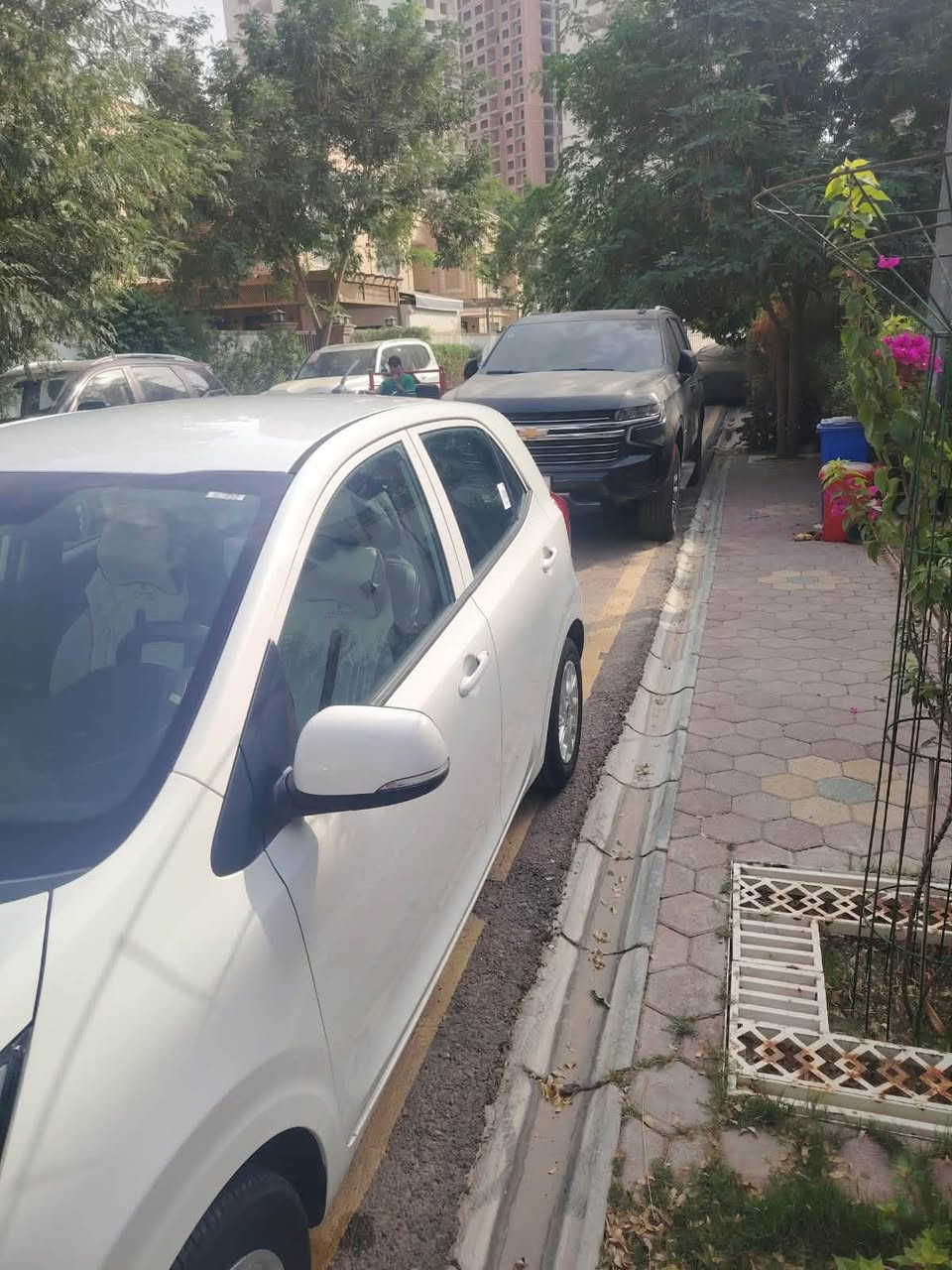 بيكانتو • ٢٠١٩ • ماشية ١٧ الف