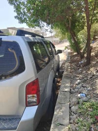 باثفندر • ٢٠٠٩ • ابو غريب