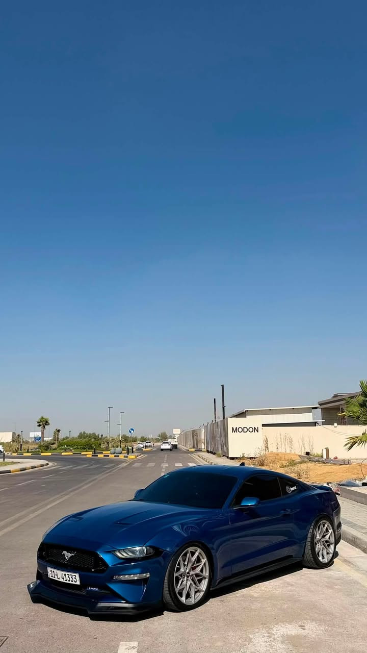 موستنك GT 2022
فول ماعدا الدجتل 
 
مكينه (8سلندر) 5000cc
كير اوتو (10)نمر

ماشيه( ٣٩ ) الف 

مكان (بغداد-العامرية)

رقم تلفون : *********** 
رقمها شبهه مميز 

رقم بغداد  الجديد فحص هزة جديد وسنويه باسمي تحويل ثاني يوم يعني ما تحير بصوت اكزوز لو وشومات لن هزة جديده
—————————————————————————

سياره حادثها (بنيد مبدل) (وجاملغ) والجاملغ الثاني بدون اي ضرر فقط رش 

————————————————————————

سياره كير مكينه اكسل كاردن صدرها بحالة الوكالة برغي ما مفتوح بيها
—————————————————————————
نجي على مواصفات فول 1/1 ماعدا دجتال
١- تشغيل عن بعد
٢- شاشة كبيرة sync 3 كار بلي
٣-اكتف اكزوز حسب المود تفتح بوابات(نورمال-سبورت-تراك)
٤-فجوج بريمبو 6بستم
٦-دمام صوت بل صندوك وكالة
٧-تحديد مسار
٨-رادار امامي 
٩-رادار جانبي(نقطة عمياء)
١٠-رادار خلفي 
١١-حساسات خلفيه
١٢-كامرة خلفيه
١٥-ستيرن تدفئه هيتر
١٦-خمس وضعيات قياده(نورمال-سبورت-تراك)
١٧-ترحيب بل مرايه
١٨-هيترات بل مرايه
٢٠-سستم سماعات 
٢١-لايت زنون ابيض من وكالة
٢٢-شعار الموستنك ضوئي من الابواب بلادي 
٢٣-شعار موستنك ضوئي متغير بل دوسات بلادي
٢٥-كشنات جلد 
—————————————————————————

اضافات عليها 
1-ولف حماوه مشميتو 
2-اكس بايب+ اج بايب 
3-لحية ار تي ار
4-شفتات ستيرن
5-تضليل بالسياره كامل امامية وجوانب وخلفيه ومثلثات
6-صبغ فجوج ويل صبغ حراري اصلي

7- تفريغ اكزوز ودوان بايب واكس بايب و لحيم اصلي يم علي وادي اركون من طول لل طول استيل حتى مقاومة للصداء وبوري اعرض صوته مخيف

8-برمجة طلال فور برذر برمجة سيفتي قطرة دوانز ماكو تستقبل بانزين محسن وحيللل قوية السياره بهذا الفايل
9-شفقه خلفيه على جامه خلفيه 
10-لويات تهبيط نصبه سياره 
11- اضافة لحية ار تي ار 
12-لد سموك بل دعاميه خلفية جانبي 
13- لد سموك بل دفيوزر خلفي 
14- بولش ونانو سيراميك يم NVN
15-ويل ماگ وان اصلي 
السعر 215 وقابل للتفاوض 
21,500$

سياره ربع دينار ما بيها مصرف كامله من اي نقص
