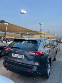 راف فور • ٢٠١٩ • رقم كربلاء
