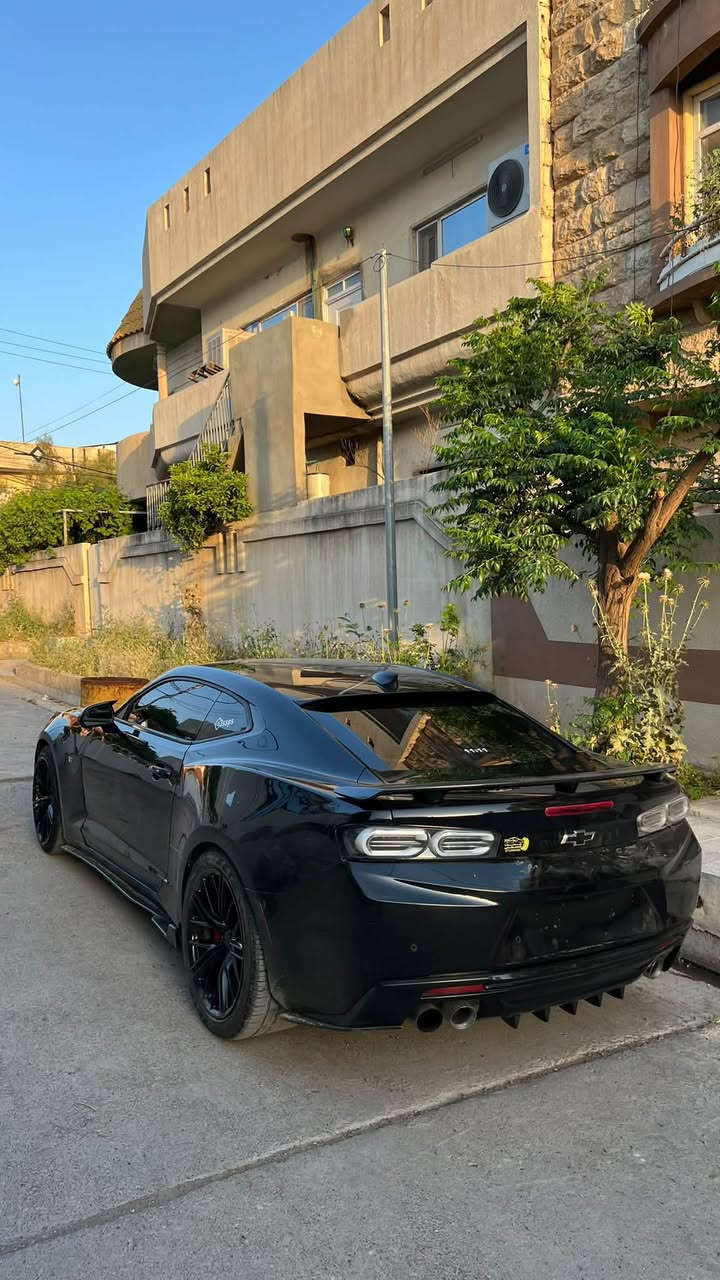 كمارو 2SS • ٢٠١٧ • بوند صبغ