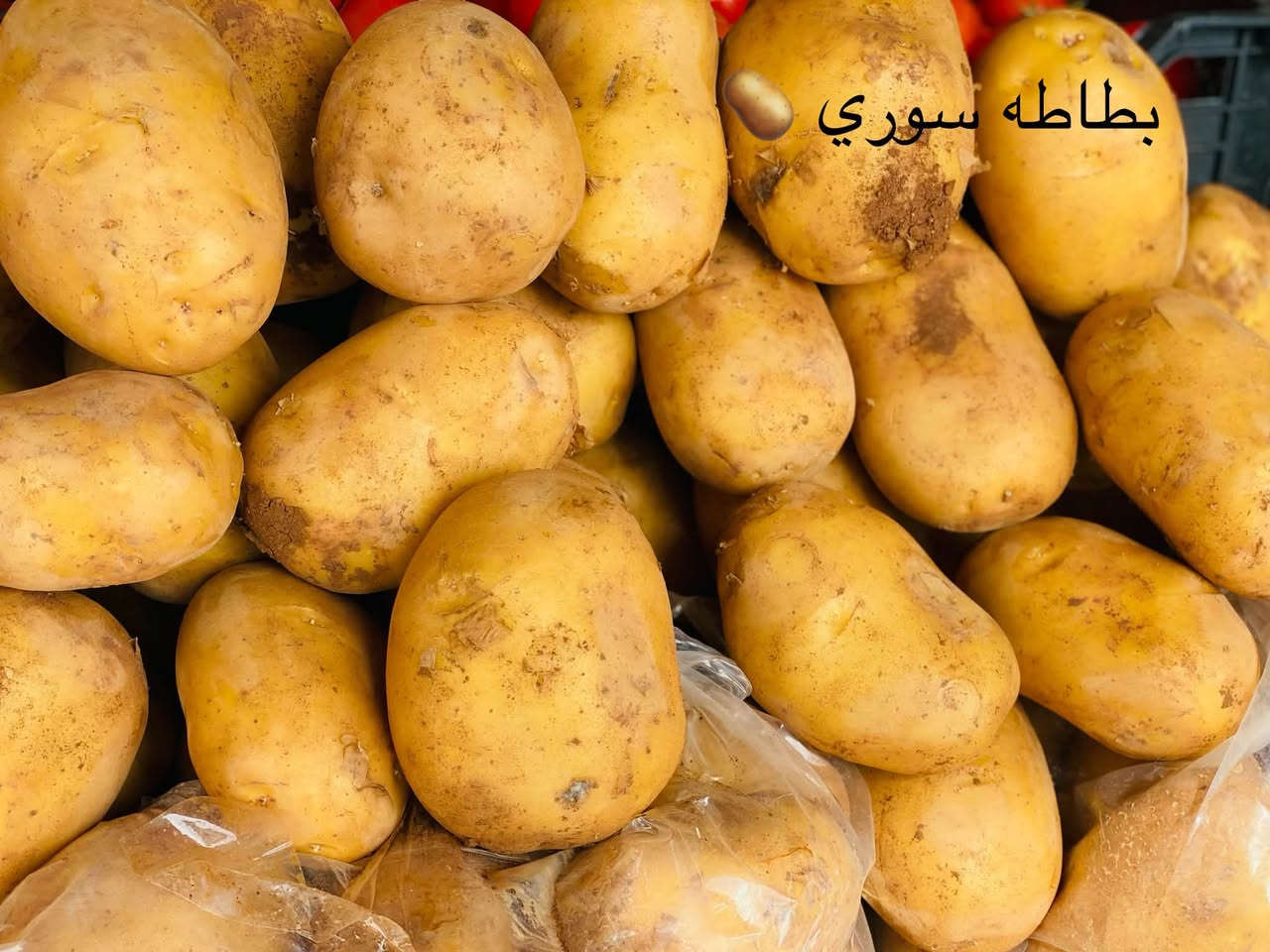 القياره • بطاطه سوري • عنب حلواني
