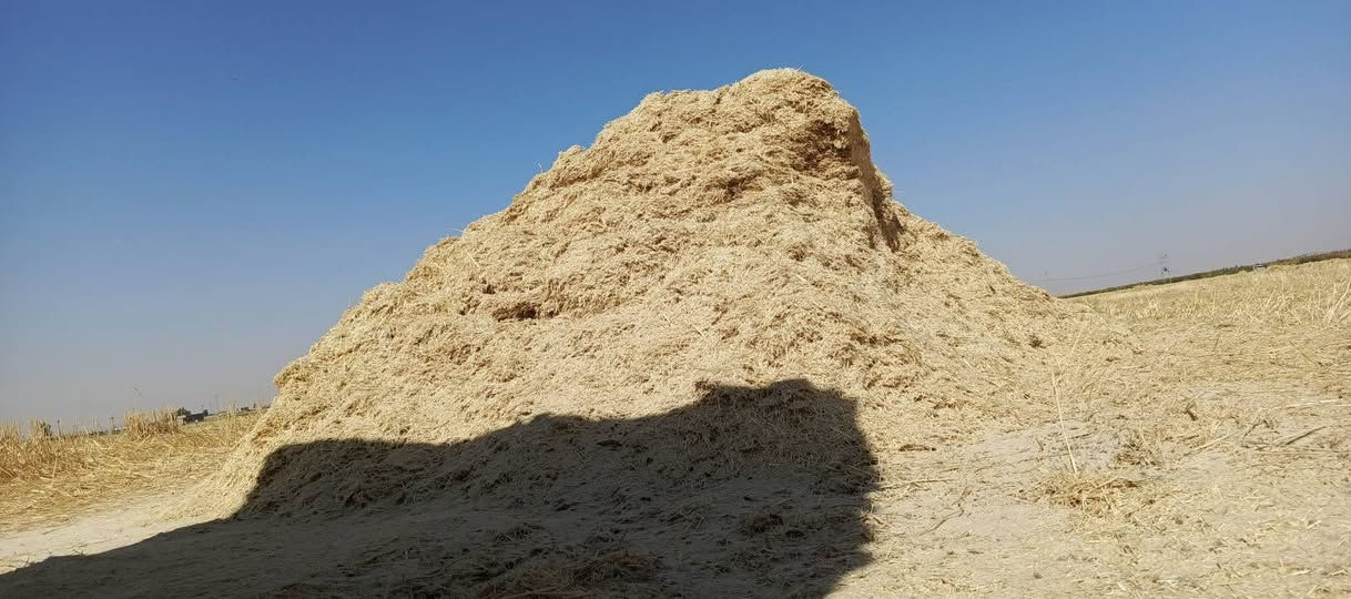 يوجد تبن للبيع كميه تبن نضيف درجه أوله سعر 50  يشتري كميه نوجبو بل سعر اتصل وتدلل موصل ناحيه بادوش قرية زنازل ***********او ***********
