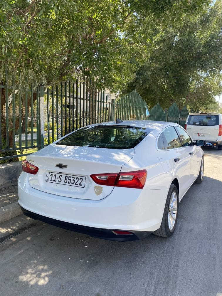 السلام عليكم 
ماليبو 2019 LS 
رقم بغداد انكليزي جديد بأسمي 
حادثهة خشم البنيد 
وبيهة صبغ ربع البنيد وجاملغ ايسر 
السيارة جديدة ونظيفة 
مسويلهة ادامة كاملة من نوزلات وبلكات وجويتر ومنظومة مي وراديتر 
حدادة امامي خلفي جديدة 
تخم تاير جديد 
منظومة تبريد جديدة قبل شهر 
عدسات لايت جديدة زنون 
كهربائيات البجم كبس جديدة 
 السعر 100 وبيهة مجال للشراي بسيط 
مكاني الشعب 
*********** اتصال او واتساب بغداد, العراق
