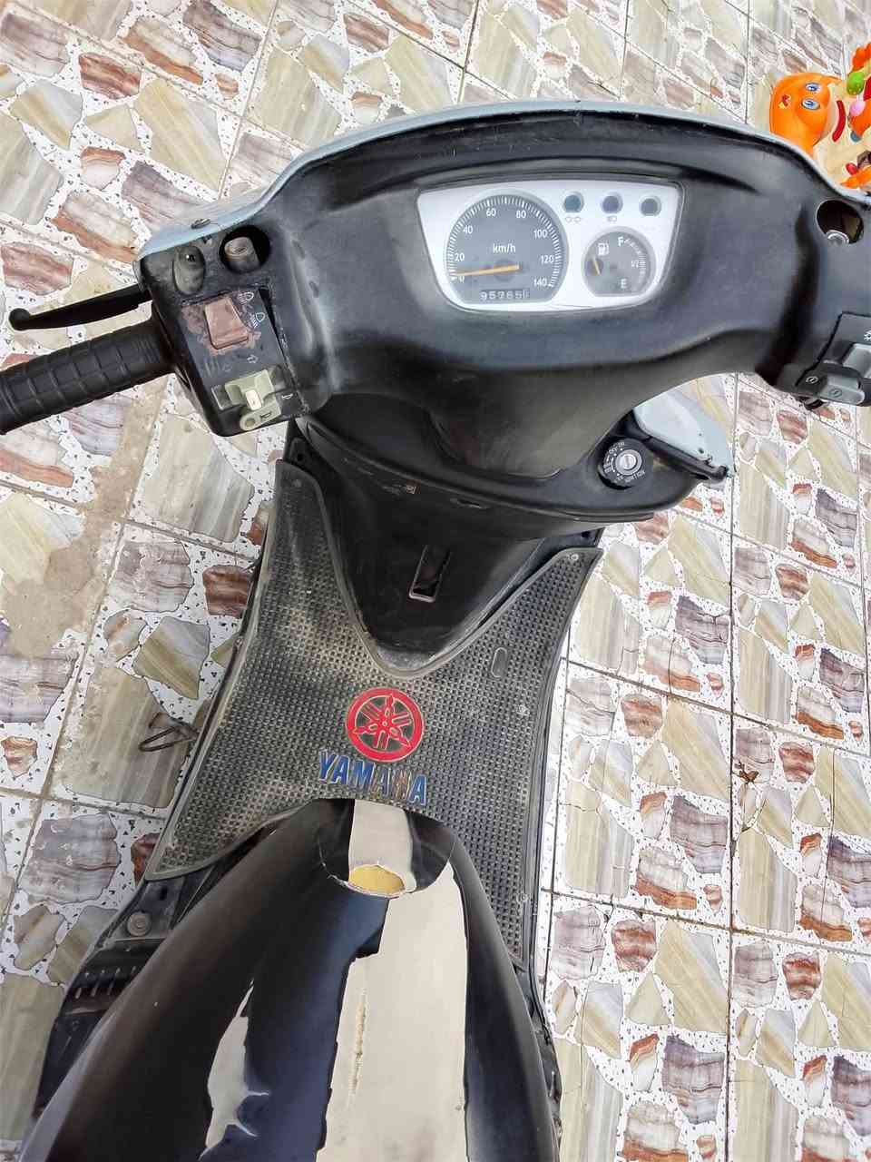 فراشة نثية • جاهزة • بيه بخار