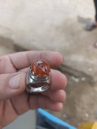 ابودشير • اكسسوارات