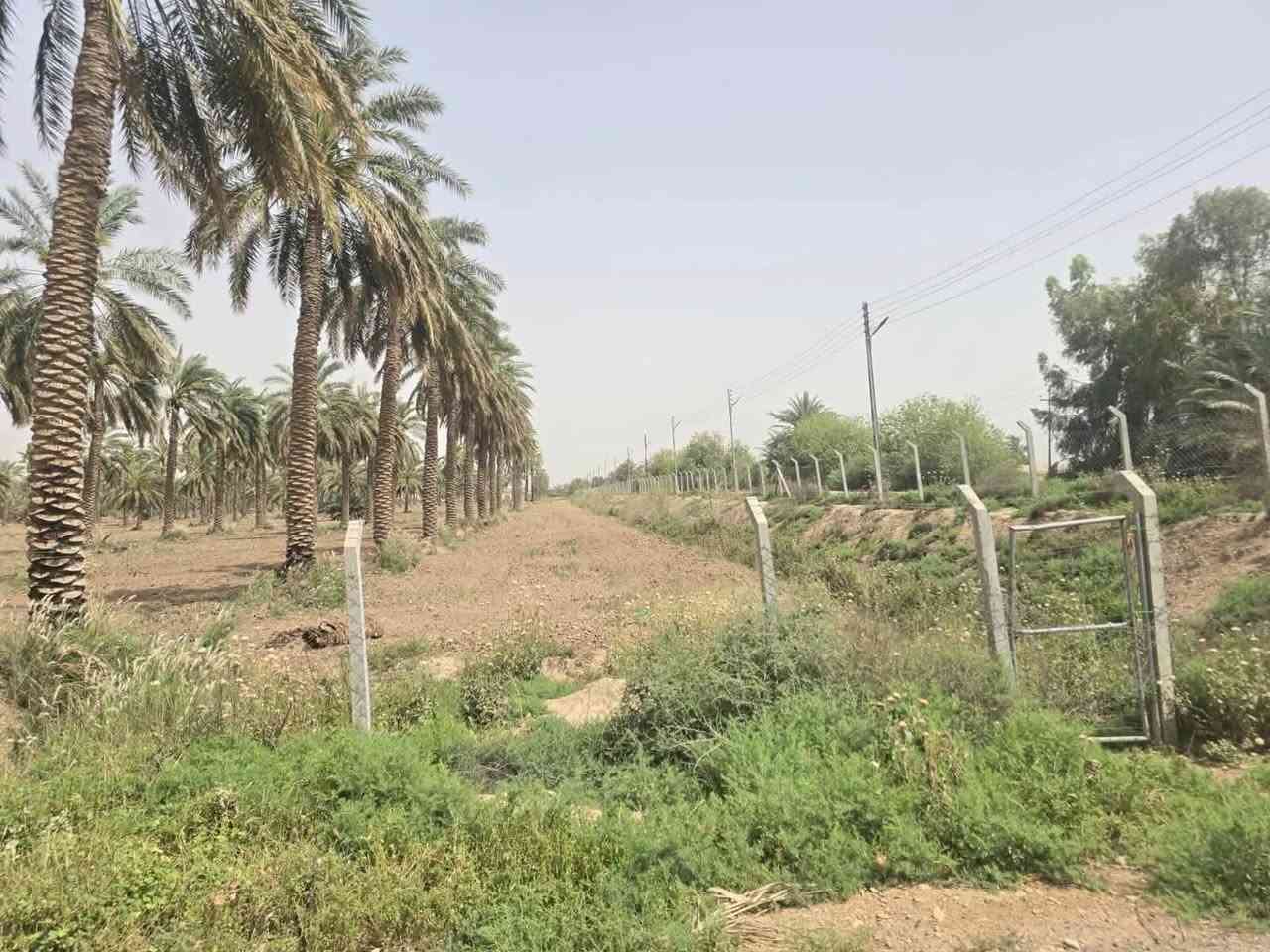 للبيع 1200 دونم بواسط قرب العزيزيه على شارع عام قريبه على العاصمه سند 25 حق تصرف كاع خيالية وتنافس مشروع العتبه الي بلصحراء ع الخدمات الي بيها سعر الدونم 18 مليون + الي يشتريها يكون مستثمر اكيد اذا تحب تفاصيل اكثر وتعمق اكثر راسلني خاص وافهمك اكثر للاستفسار على رقم ***********
