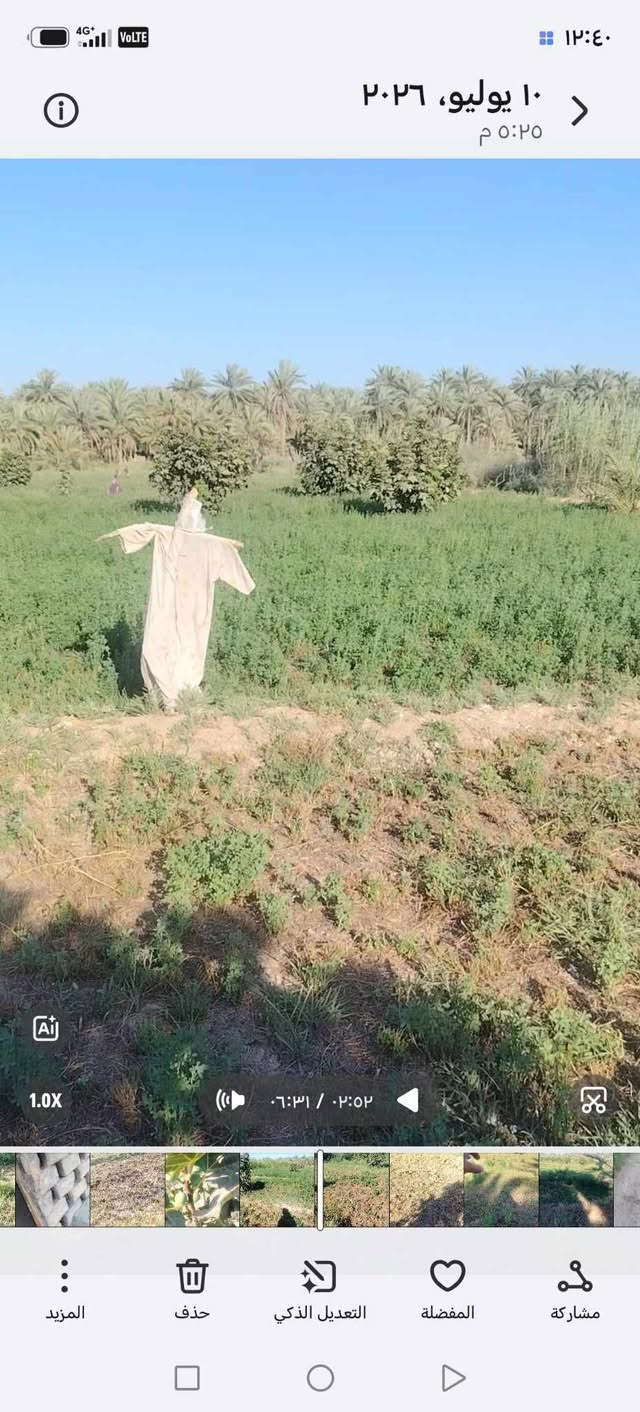السلام عليكم لليريد ارض زراعيه المساحه 7 دونم اتريد نص منه ماكو مشكله جنس العقار طابو زراعي سند 25 تحويل سهم تحتوي ع 50 نخله حمال وبيه جديد متوفر مي سقي كهرباء العنوان السياحي قرية الرواشد تبعد عن شارع السياحي كيلو ونص قسم تبليط وقسم ترابي عرض الشارع 8 متر سعر الدونم الواحد 30 مليون وبيه مجال للاستفسار اكثر مراسلة الصفحه او الاتصال ع الارقام التاليه
***********
***********

نص مكتوب في الصور:
- ١٠ يوليو، ٢٠٢٦ ٥:٢٥ م ١.0X ٠:٣١ / ٠:٤٨ المزيد حذف التعديل الذكي المفضلة مشاركة ١٢:٣٦
- ١٠ يوليو، ٢٠٢٦ ٥:٢٥ م ٠١:٤٦ / ٠٦:٣١ التعديل الذكي المفضلة مشاركة حذف المزيد
- ١٢:٣٥ ١٠ يوليو، ٢٠٢٦ ٥:٢٥ م ١.0X ٠٠:١١ / ٠٦:٣١ المزيد حذف التعديل الذكي المفضلة مشاركة
- ١٢:٣٩
- ١٠ يوليو، ٢٠٢٦
- ٥:٢٥ م
- ١.٠X
- ٠:٣١ / ٠:٤٧
- المزيد
- حذف
- التعديل الذكي
- المفضلة
- مشاركة
- ١٠ يوليو، ٢٠٢٦ ٥:٢٥ م ١٢:٣٩ 1.0X ٠٢:٠٢ / ٠٦:٣١ المزيد حذف التعديل الذكي المفضلة مشاركة
- ١٠ يوليو، ٢٠٢٦ ٥:٢٥ م ١٢:٣٩ 1.0X ٠٢:٠٢ / ٠٦:٣١ التعديل الذكي المفضلة مشاركة حذف المزيد