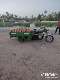 موديل ٢٣ • بابل جبله • كفاله عامه