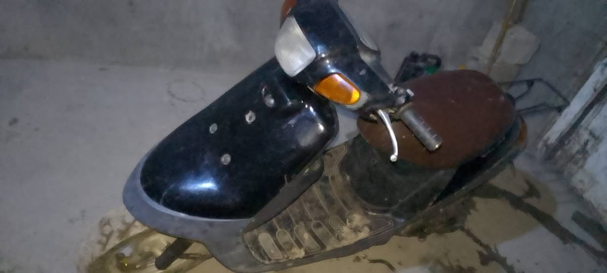 بطه بلاديه • فحل • نضيفه