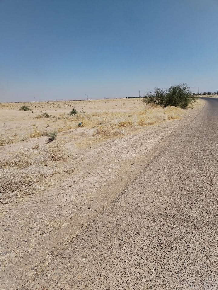 حليحل • ١٨ دونم • خدمات كاملة