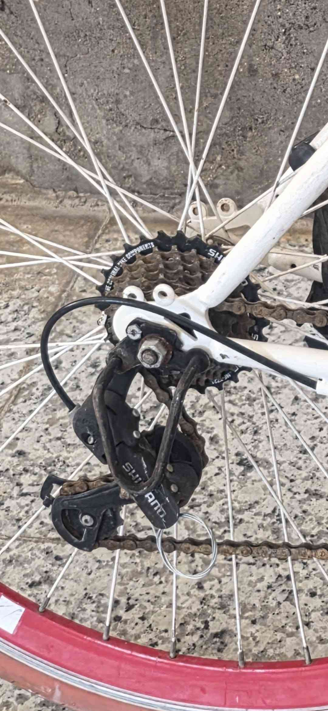 دراجة هوائية (بيسكل) سبورت C700 للبيع 🚲
🚲 دراجة هوائية (بيسكل) سبورت C700 للبيع 🚲
​• النوع: The Red Fox (Iner)
• الحجم: قياس 700 (سريع ومرن للشارع)
• المواصفات:  
​جير كيرن شغال 21 سرعة (3 أمامي × 7 خلفي) مع شفتات تبديل سريعة  
​رِمات ألمنيوم عالية الرياضية (40mm High Profile Alloy) باللون الأحمر  
​سرج (قعدة) مريح ومعدل للقيادة اليومية  
​يحتوي على رفارف (طينيات) لحماية أثناء القيادة  
​البسكل جاهز للاستخدام ونظيف مثل ما موضح بالصور  
​💰 السعر: 160 ألف دينار 
📍 المكان: البصرة
🚚 التوصيل: يتوفر توصيل فقط داخل محافظة البصرة
​📞 للتواصل والاستفسار: ***********
