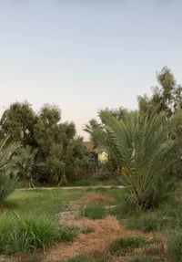 بستان مثمر • ٣٧٥٠م • حوض اسماك