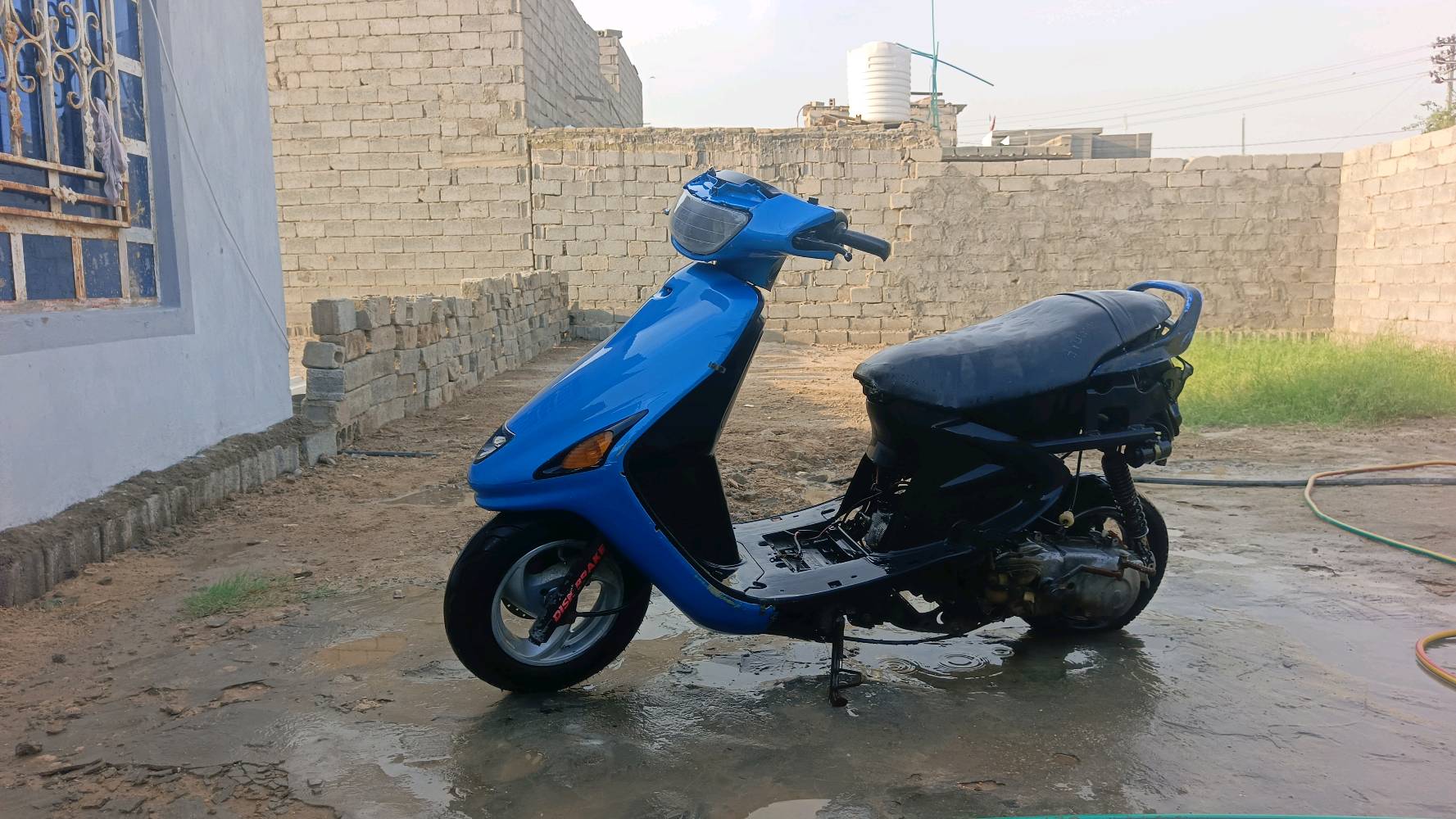 فراشه • فحل • كوري