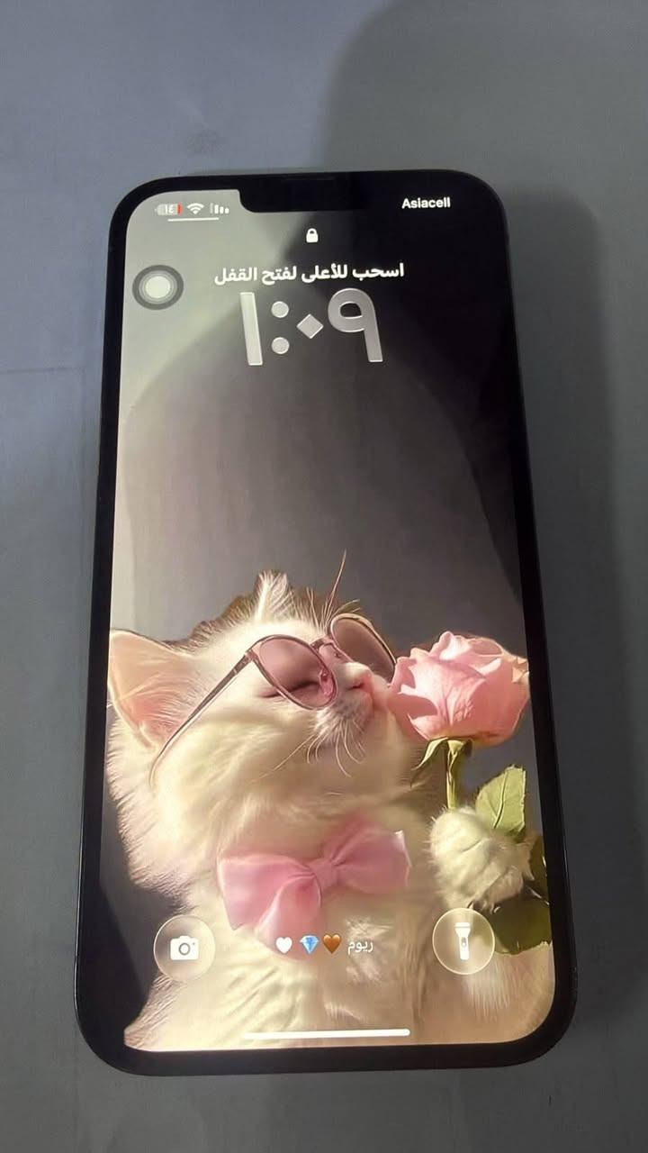 ايفون ١٣ برو ماكس • ٢٥٦ • بطارية ٧٥٪
