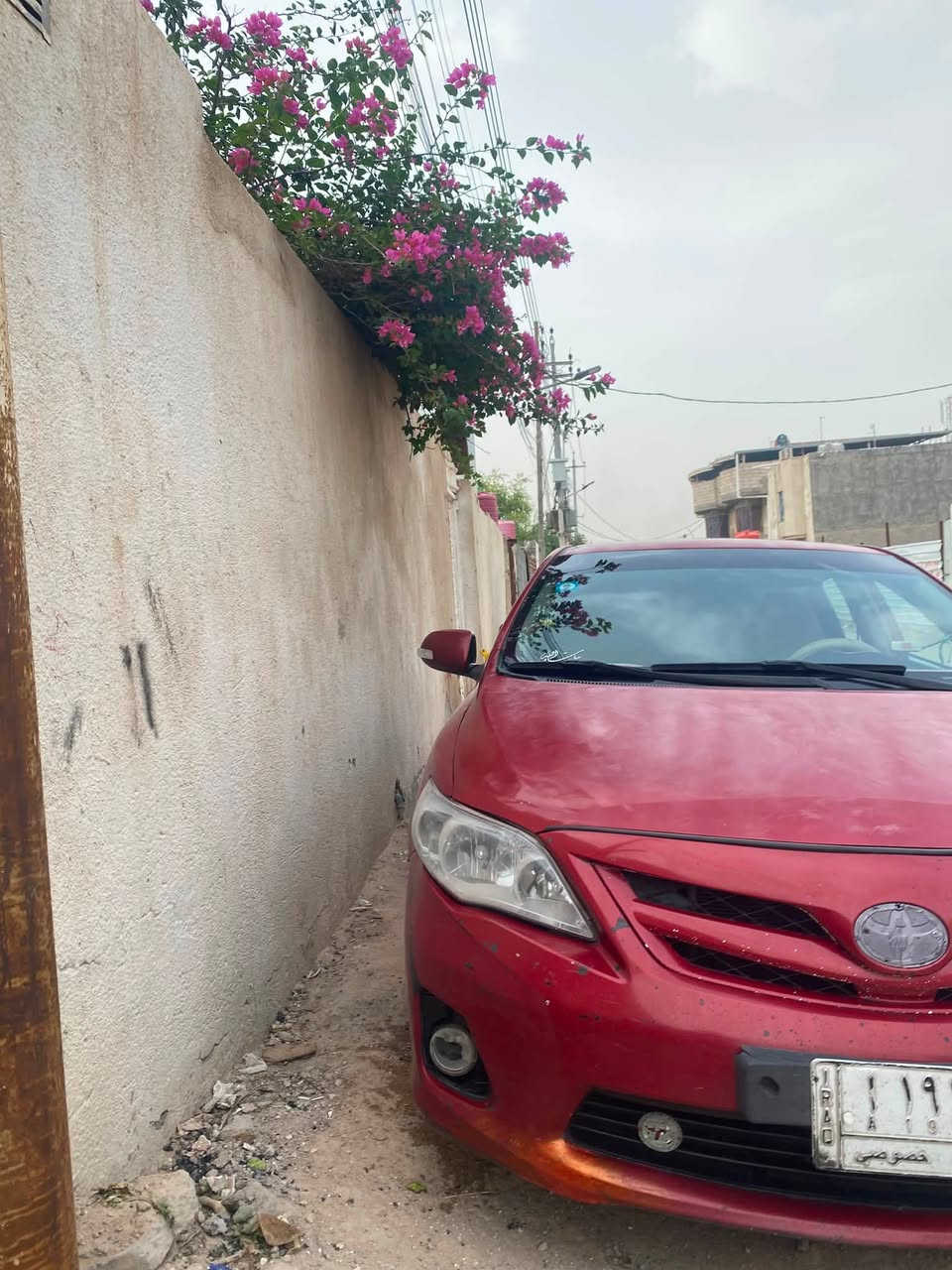 سلام عليكم كورله نحله موديل ٢٠٠٩ خليجي فول موصفات s محرك١٨٠٠ محرك كير تبريد ثلج دواخل نضيفه سياره جاهزه ما نقصها شي سنويه مجددا ٢٠٢٨ بسم صديقي شرط التحويل سياره كفاله من الضربه القويه بيها رشات صبغ ابيع حزام  عن المفاشل مكاني بصره ابو الخصيب  رقم الهاتف ***********  السعر ٨٥ وبيها مجال
