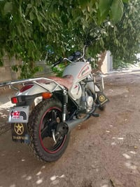 دايون • موديل ٢٤ • مكفول