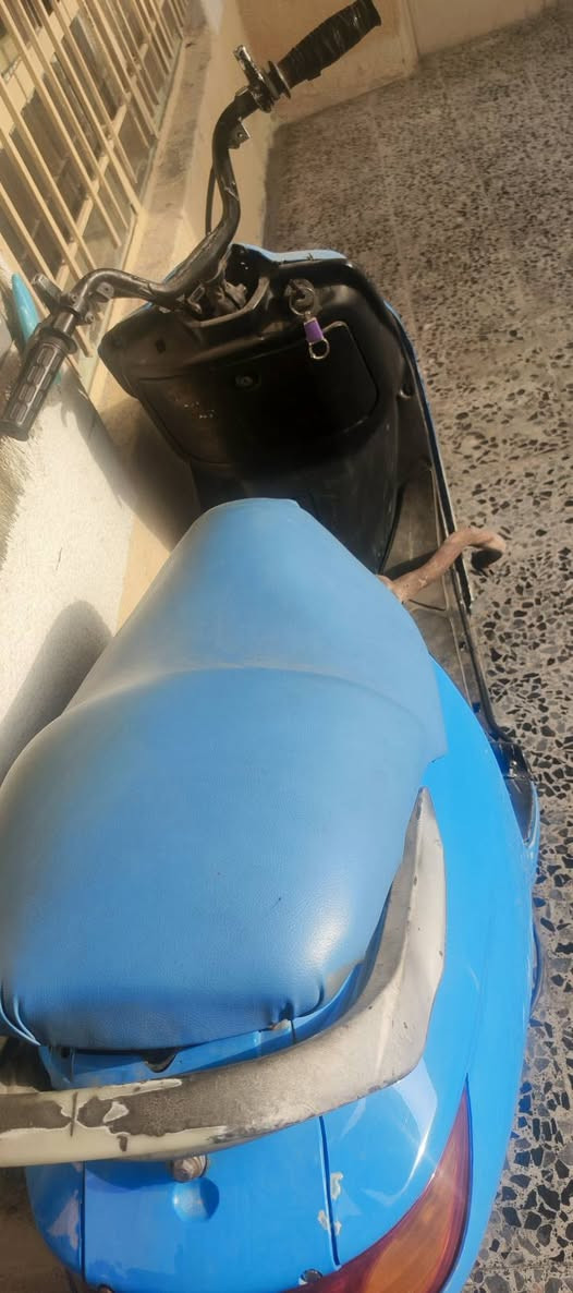 فراشة • ١٢٥ • شرعي