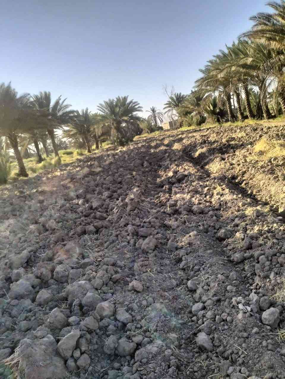 ١٧ دونم • ٦٠٠ نخلة • سند مجدد ٢٠٢٧