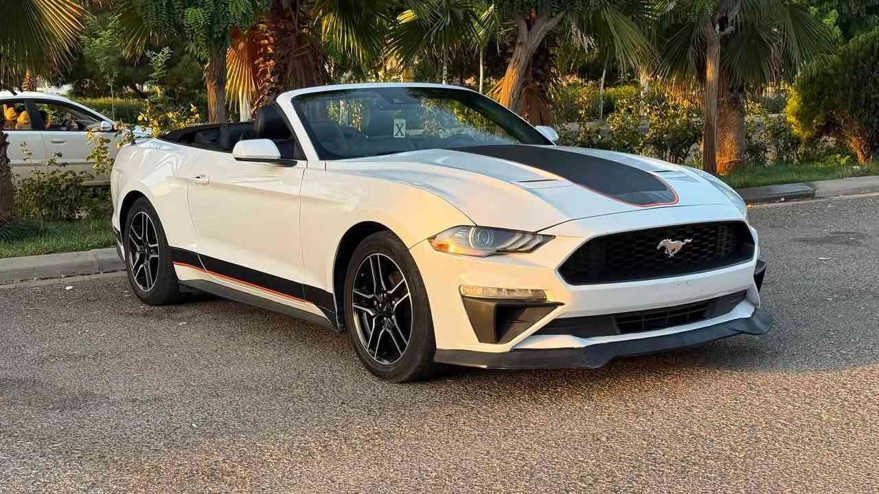🏎️ Ford Mustang Ecoboost 2023
•
محرك 4 سلندر إيكوبوست توربو ممتاز واقتصادي 🔌
•
قوة تسارع ممتازة وعزم رياضي قوي ⚡
•
جير أوتوماتيك + نظام قيادة متعدد الوضعيات ⚙️
•
شاشة كبيرة + نظام ترفيه حديث وسلس 🖥️
•
تحكم بالمقود + مثبت سرعة 🏁
•
سقف كابريو قابل للفتح (مميز للموستانج 📌)
•
كاميرا خلفية وحساسات للمساعدة بالوقوف 📸
•
تصميم رياضي فخم + صبغ قطعتين فقط 🎨
•
جلد فاخر + مقاعد كهربائية مريحة 🪑
عنوان السيارة: معرض ايمن دهوك
التواصل اتصل برقم: ***********
