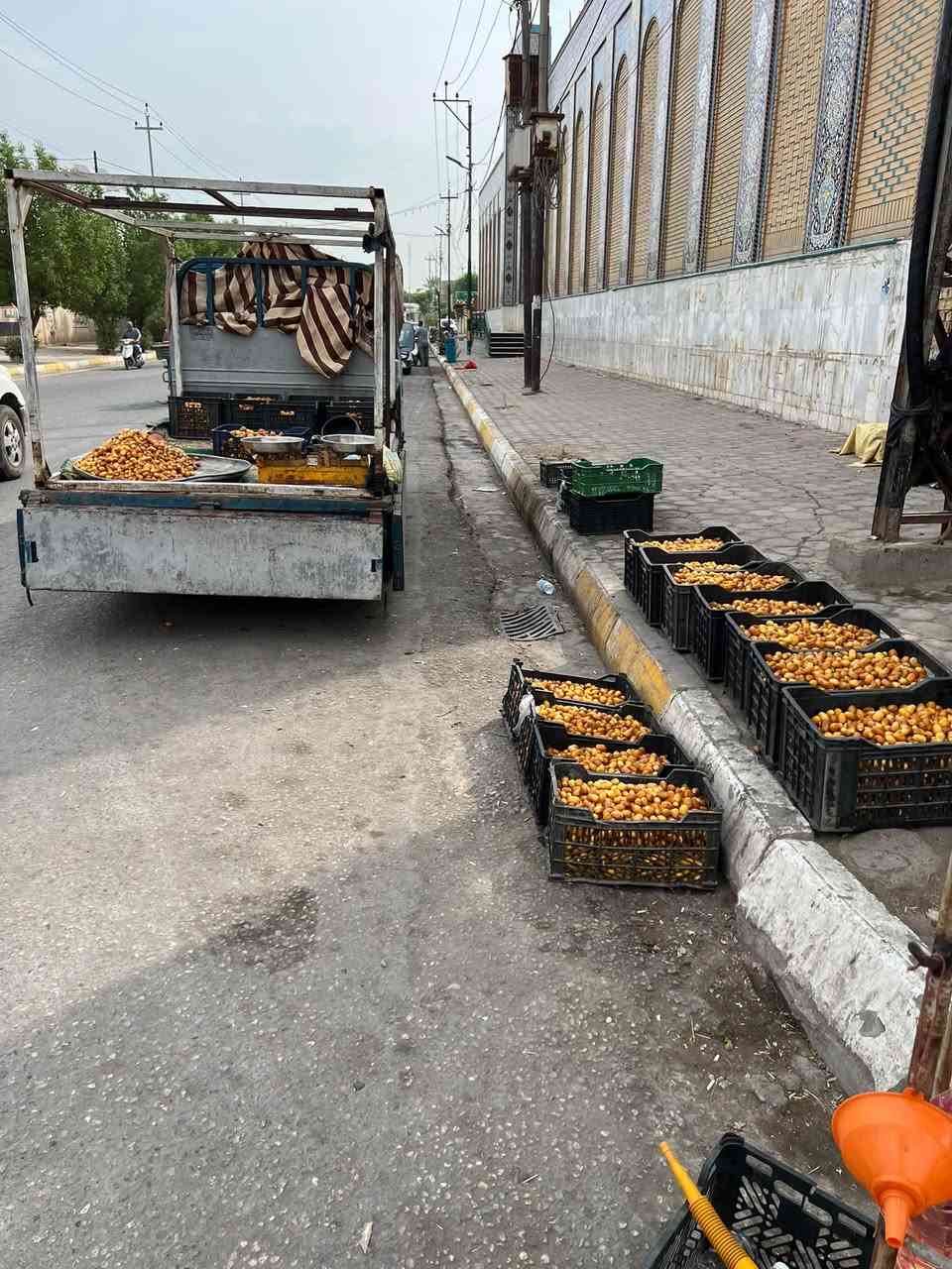 تمر فضيخ • درجة أولى • جملة ومفرد