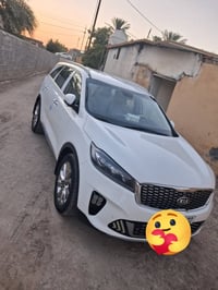 سورنتوا • ٢٠١٩ • ٧ راكب