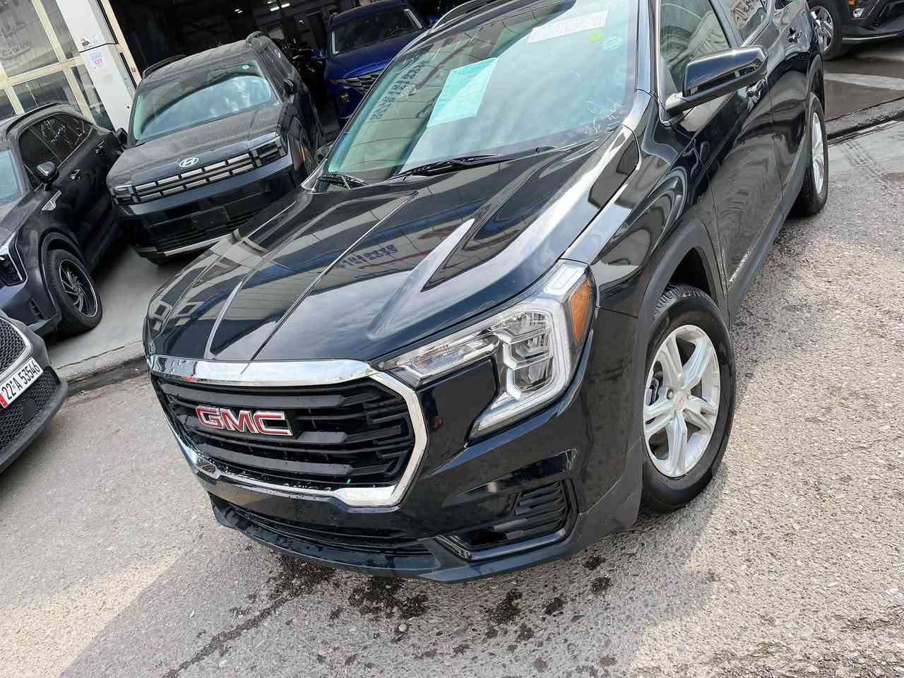 تيرين SLE • ٢٠٢٤ • بدون صبغ