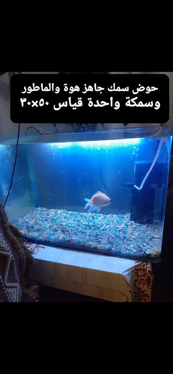 السلام عليكم غراض للبيع العنوان بغداد حي الخضراء هاتف *********** او ***********

