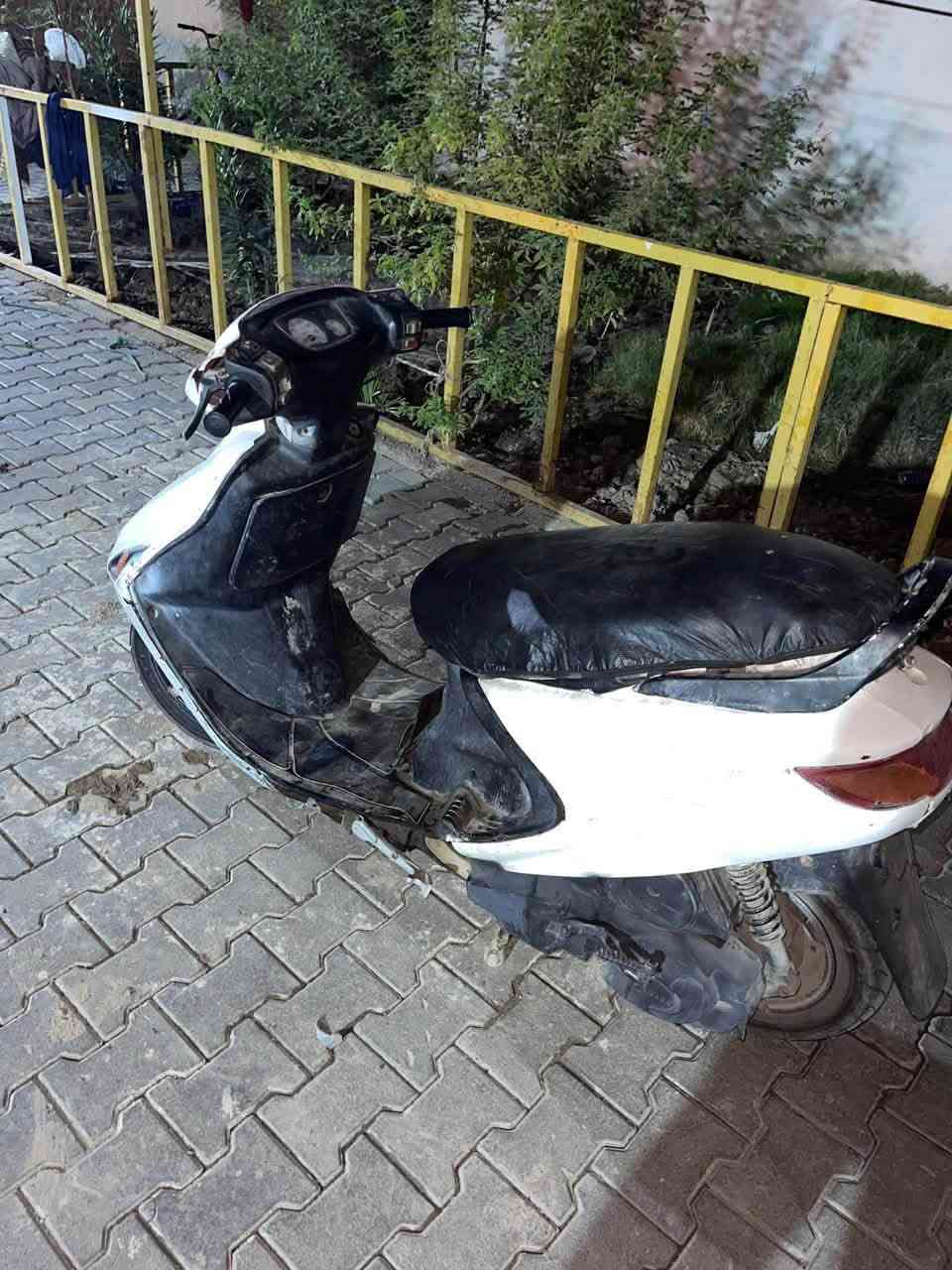 فراشه • نضيفه • بصره