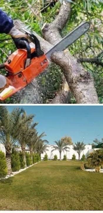 شغل حدقجي الموصل ✅✅✅
🌳  حدائق الموصل لخدمات تنظيف وترتيب الحدائق هل تبحث عن اطلالة مميزة وجذابة لحديقتك نحن هنا لخدمتك 
نغطي كافة مناطق واحياء مدينة الموصل الجانب الايمن  والايسر خدماتنا تشمل 
تقليم وقص الاشجار  تنظيف وترتيب الحدائق إزالة الحشائش 
الضارة تنظيف المخلفات واعادة الحياة لحديقتك 
اسعارنا 
اسعار مناسبة جدا ومنافسة وتعتمد على حجم الحديقه ونوع 
العمل المطلوب رضاكم هو هدفنا 
📞 التواصل والاستفسار 
يمكنكم الاتصال مباشرة او المراسلة عبر الواتساب  
على الرقم  ***********  ورقم بي واتساب
