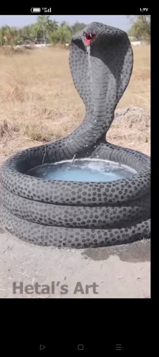 السلام عليكم ورحمه الله وبركاته
نعمل في جميج انواع الديكورات المنزليه والحدائق 
ونحت التماثيل،،
وعمل المسابح،،
والشلالات..
والنافورات 
 والنحت على الجدران الداخلية والخارجية 
للتواصل معنا مراسلة الصفحه 
او الاتصال على الرقم التالي 
***********
