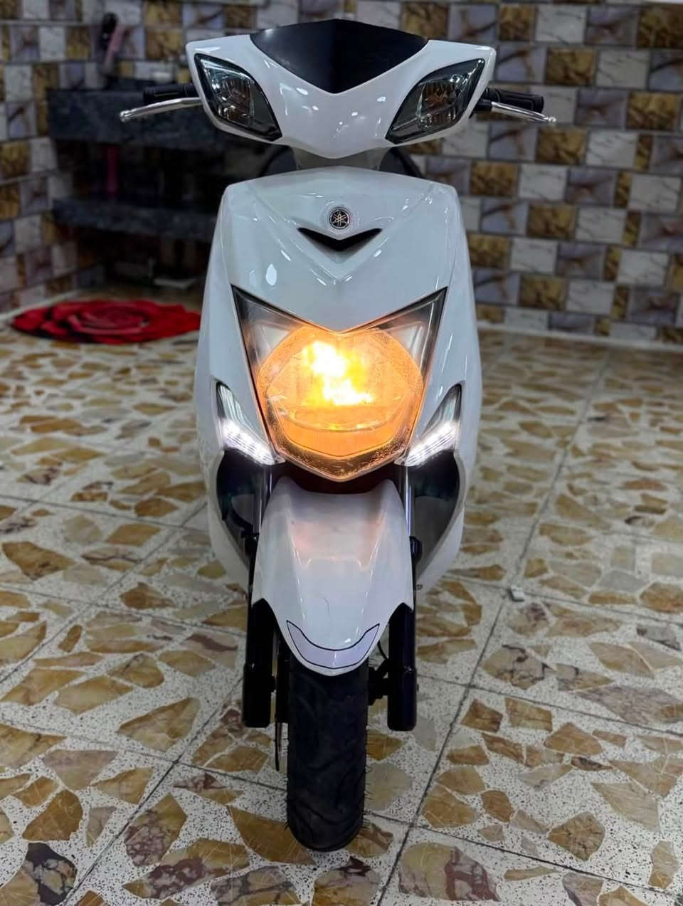 سلام عليكم دراجه للبيع سكنس نوزال مكينه كفاله دراجه جديده وخيرر من الله  سعرر 950 بيها مجال العنوان الهياكل غزاليه ‭***********‬

