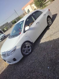 كورلا خليجي • ٢٠١٣ • رقم اربيل