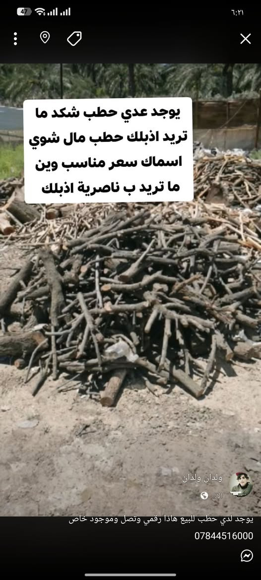 عدي حطب للبيع

نص مكتوب في الصور:
- يوجد عدي حطب شكد ما تريد اذبلك حطب مال شوي اسماك سعر مناسب وين ما تريد ب ناصرية اذبلك
- ولدان ولدان
- الآن
- يوجد لدي حطب للبيع هاذا رقمي وتصل وموجود خاص
- ***********