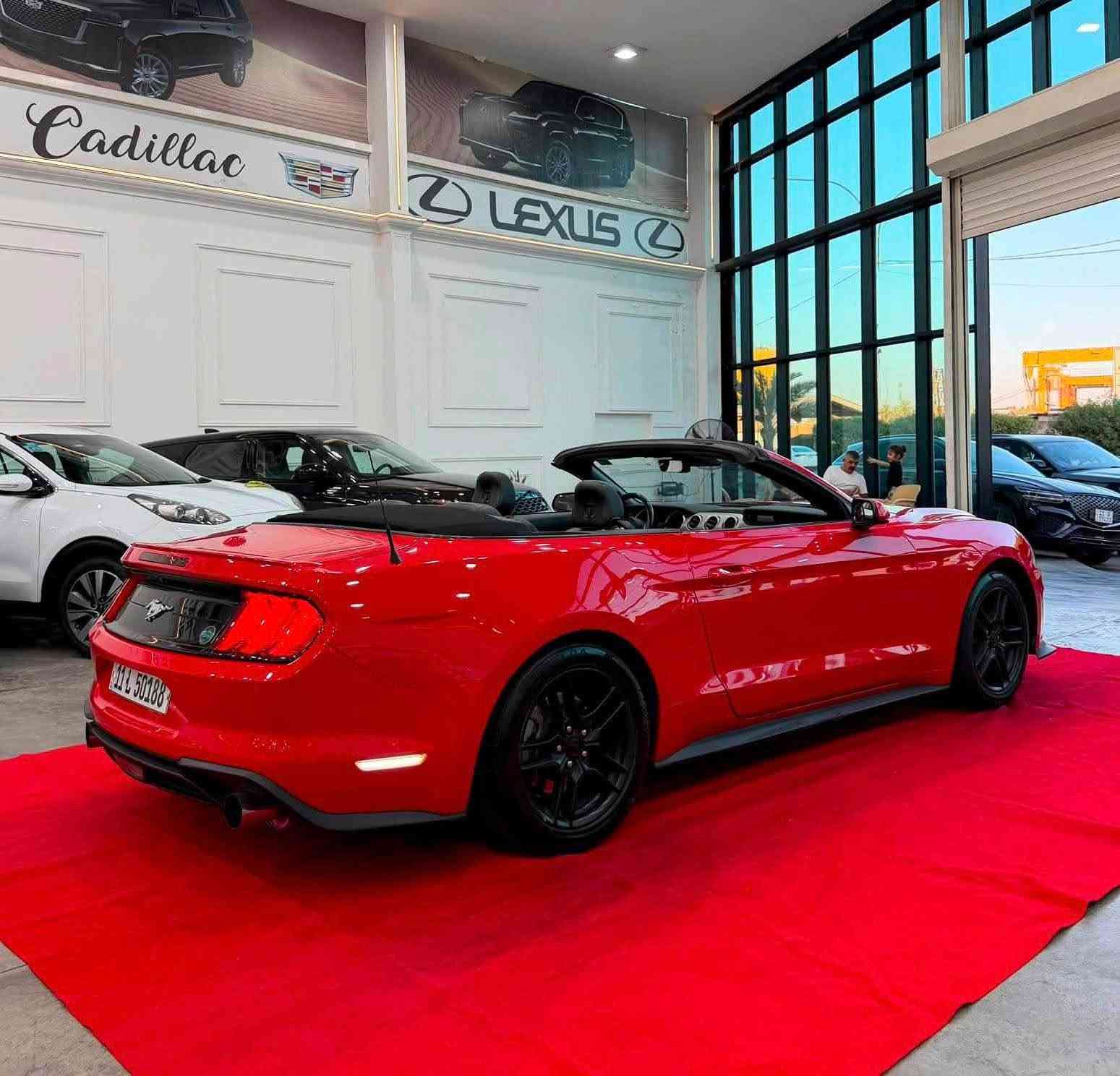 🏎️ فورد موستنج 2022 - بريميوم فول (كشف) للبيع 🏎️
🔹 المواصفات العامة:
 الموديل: 2022
 الفئة: بريميوم فول (كشف)
 المحرك: 4 سلندر 2300 تيربو (EcoBoost)
 المسافة المقطوعة: 52 ألف كم
🔹 المواصفات والاضافات:
 كشنات جلد (تدفئة + تبريد)
 كشنات تحكم كهرباء
 شفتات ستيرن للسرعة
 شاشة وكاميرا خلفية
 رادار أمامي + رادار جانبي
 حساس خلفي
🔹 حالة السيارة (الحادث):
 الحادث: جاملغ وبنيد
 التفاصيل: البنيد مستبدل نفس اللون، والجاملغ مصبوغ
💵 السعر: 145 ورقة ($14,500) وبيه مجال طيب للشراي
📍 العنوان: بغداد - الكاظمية
*********** بغداد, العراق
