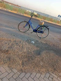 بايسكل • بناني • مقاس ٢٦