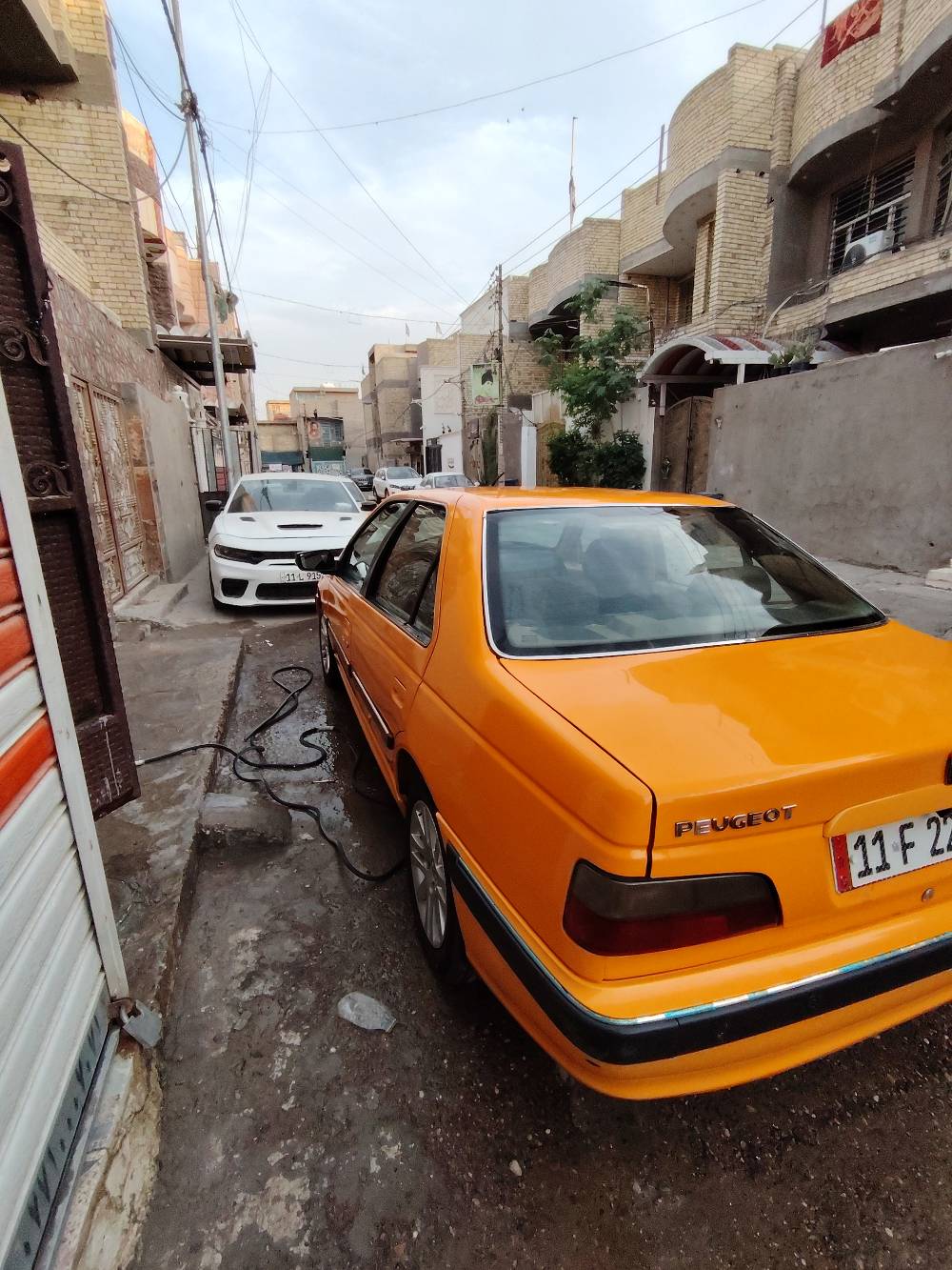 بيجو بارس • ٢٠٢٤ • مكفوله