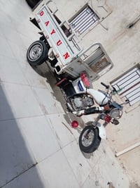 ستوته • موديل ٢٢ • مكفول