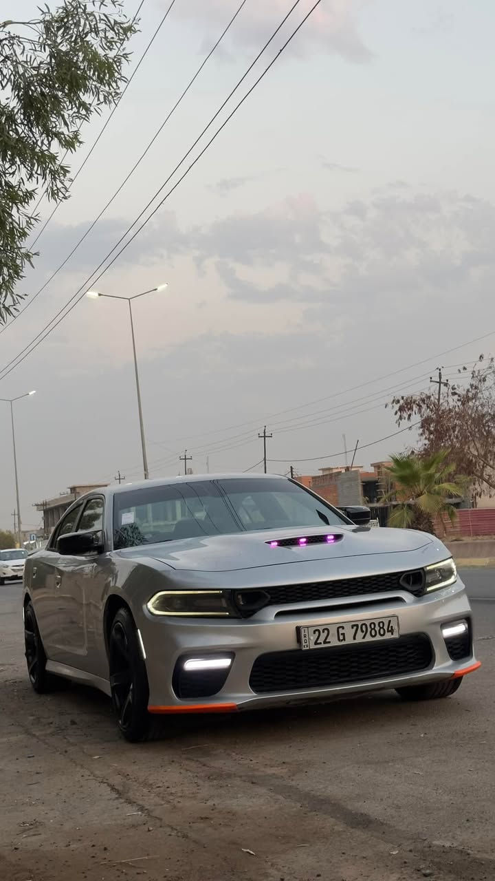 للبيع او مراوس بشي معقول
دوج جارجر 
موديل 2020
فئته sxt
عليها كت كامل وايد بي بدون نفخات
الاضافات
لدات بل بنيد متغير
لدات بلدعاميه الاماميه
لدات جوانب ابيض
لحيه جوانب برتقالي
فجوج برتقالي
وياله هيلكات خسفه قويه
مري باتمان
شفقه على جامه الخلفي
جنح خلفي هليكات
دفيوزر 
السياره خير من الله عليها تعديلات كلش حلوه
صدر امامي خلفي تايرات كله جديد
كير محرك خير من الله مكفولات 
ولا كلوب مشتغل بلكيج
ماشيه 85mi
رقم وسنويه حديد
والسياره نشطه وقويه
الضرر من امريكا 
اربع قطع صبغ بيها
وسعرها 195وبيها مجال حك الجيه
رجاءً الي مايعجبه السعر لايصير ابو معرض براسي بلتعاليق
رقمي ***********
