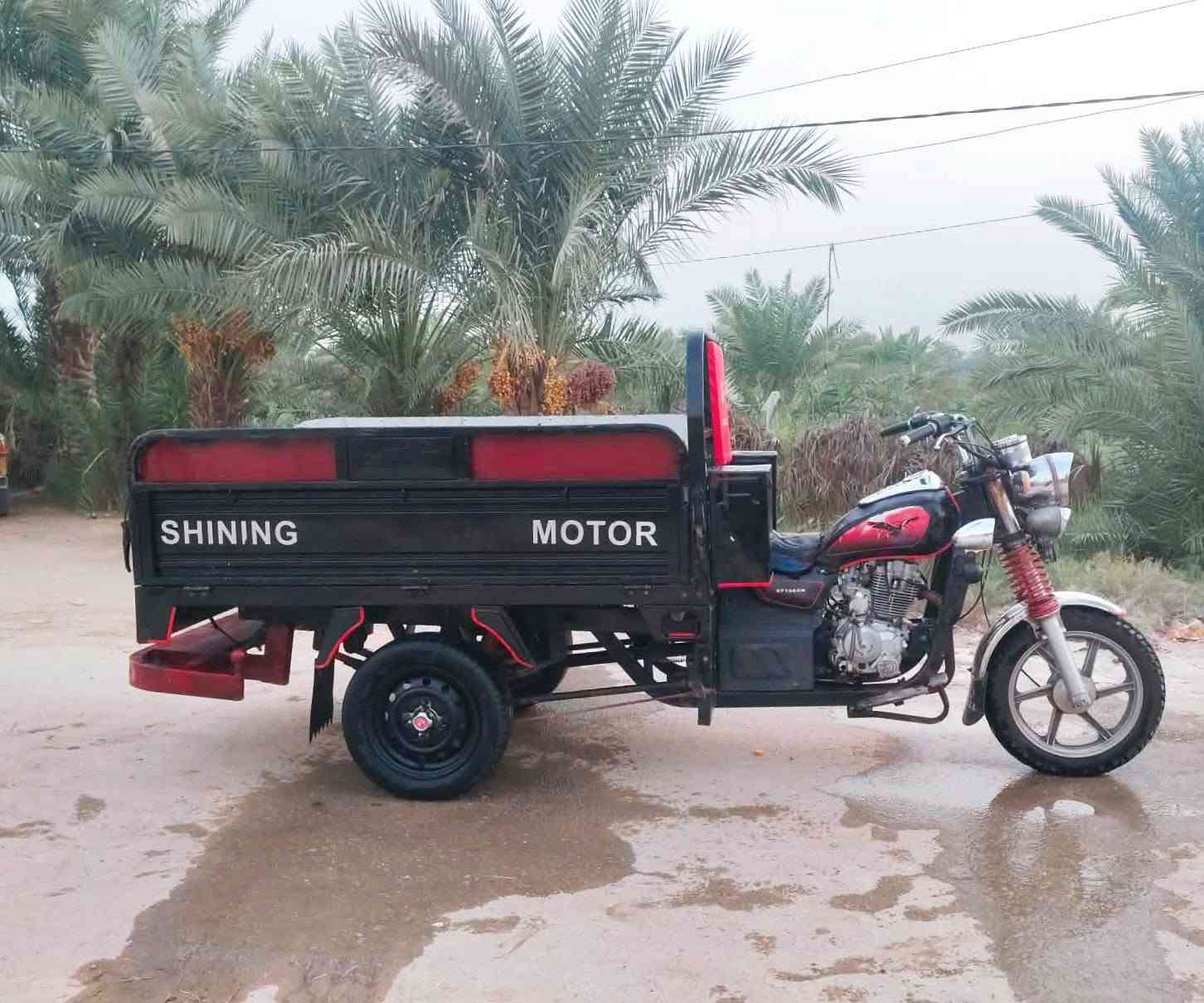 يالله
ستوته جمره فحل 2019 اوراق بسمي وكيله الكرعاوي  مكفول كفالة عامه لاصبغ ولا لحيم ستوته مال جناي مامتعوبه برقي ماعيزه مكينه بلاديه جديده اكسن جديد تخم تاير جديد  كفالة عامه السعر (1600)وبيه مجال  الشراي يتصل    
***********مكان نجف مناذره
