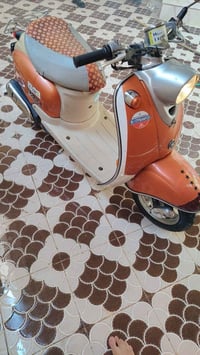 عبدالحليم • فحل • نظيف