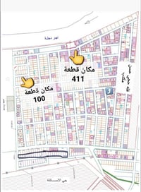 حجي حسن الثانية • ٤١١م • زراعي سند ٢٥