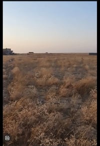 الحولي • ١ دونم • طريق ٦م