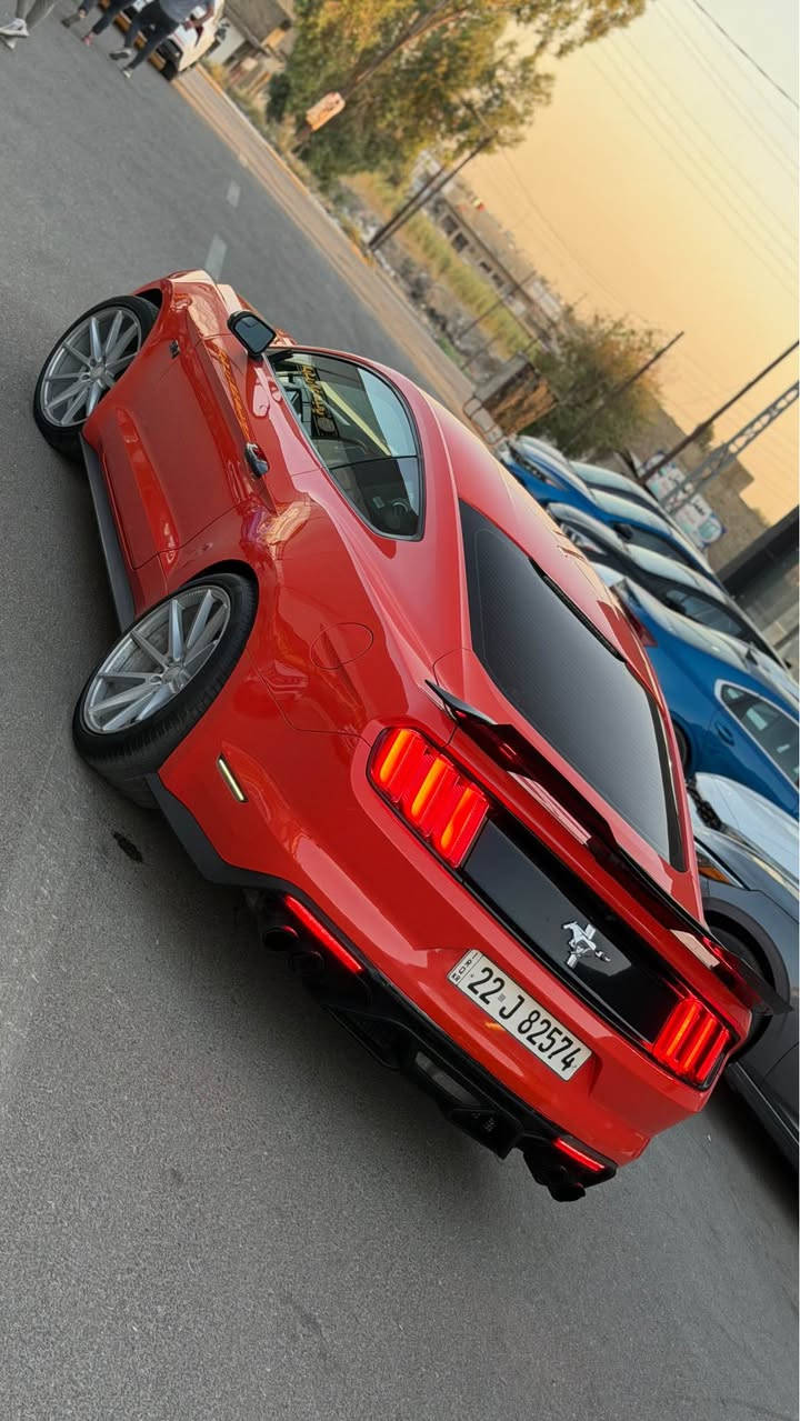 Ford Mustang v6 orange 2015
فورد موستنك 6 سلندر 🔥
اللون برتقالي مميز 🧡
المديل 2015
المحرك 3700 v6 المرغوب
كير اوتماتيك
كير ومكينة شرط 
مواصفات الستة المعروفه 
بصمة تشغيل وتشغيل عن بعد 
دخل ذكي بصمة ابواب 
شاشه صغيره وكامرة 
تحكم ستيرن شفتات ستيرن
مثبت سرعة 
عليها ويل Vossen VFS-1 توسايز 
ودفيوزر ولحية امامية ولدات سموك 
سبويلر مال gt حلوك كزوز كاربون فايبر 
سستم كاربون فايبر للداخل 
حادثها جاملغ خلفي صبغ وقطعتين كلير (جاملغ امامي وباب السايق)بدون دواخل بدون ايرباك شرط 
السياره جاهزه ونظيفه ومسويلها ادامه كامله ومابيها نقص ونصبتها حيل حلوه بلعافية على الياخذها 
 مكان السيارة بلموصل معرض الركن الذهبي 
السعر 145 وبيها مجال 
للتواصل *********** موصل, نينوى
