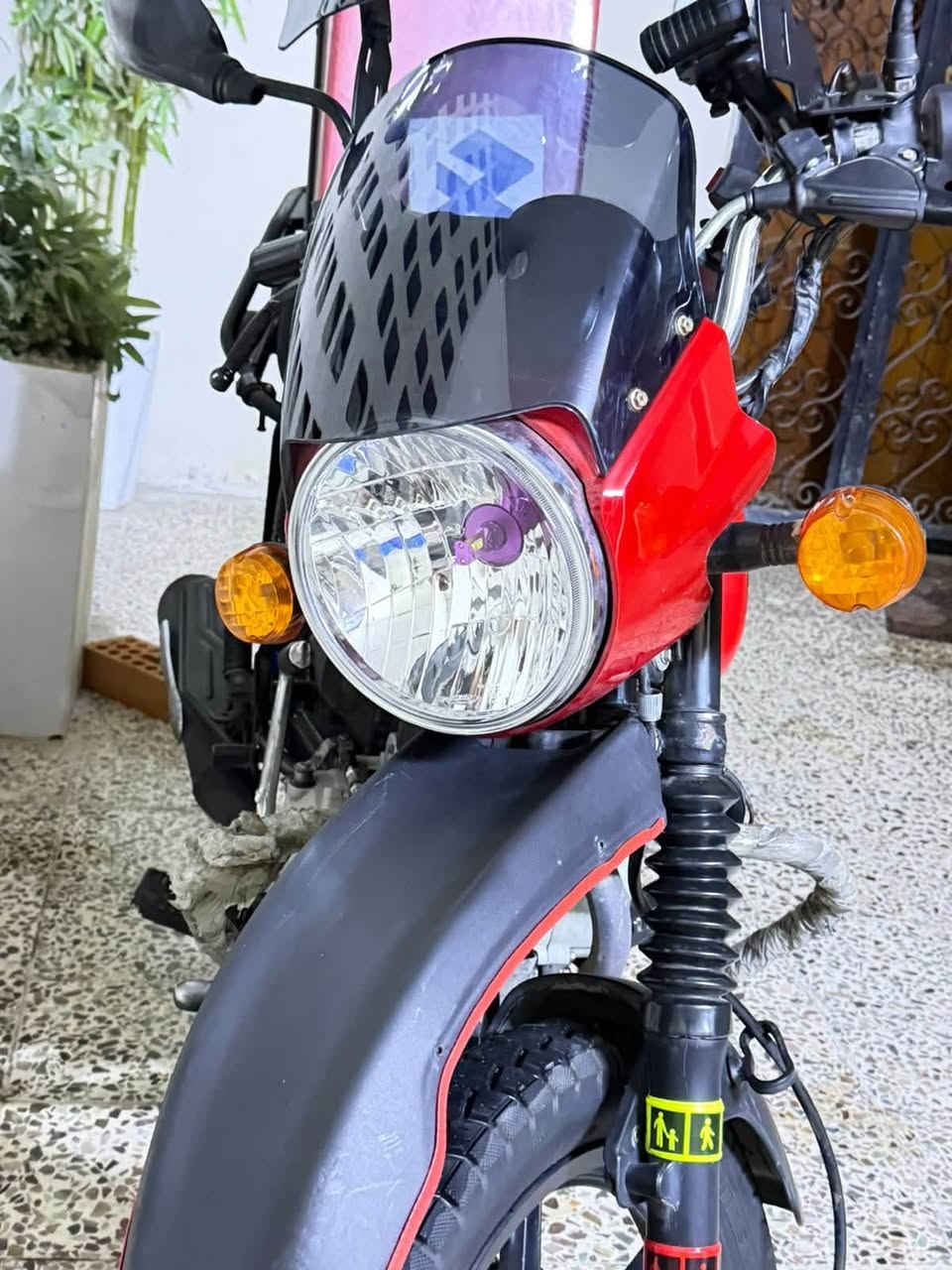 بوكسر • ٢٠٢٢ • جبلي