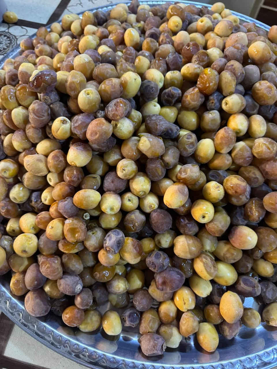 تمر برحي • الطارميه • ينباع بالسله