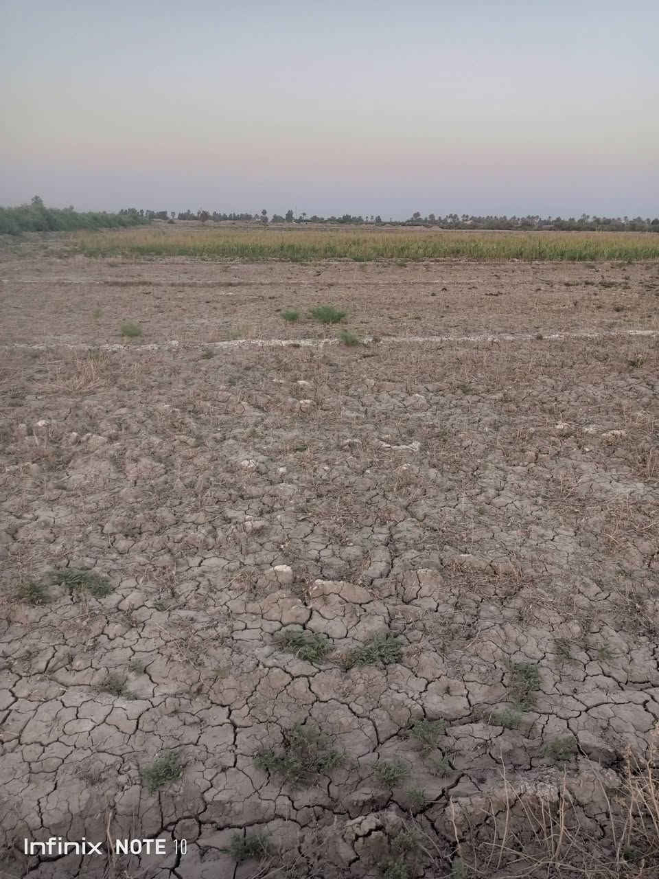 اسلام عليكم ارض زراعيه 20دونم  للبيع موقعها زبيدي شاخه 17 عقد 17  شارع مبلط مدرسه ابتدائيه ابصفها الستفسار ***********
