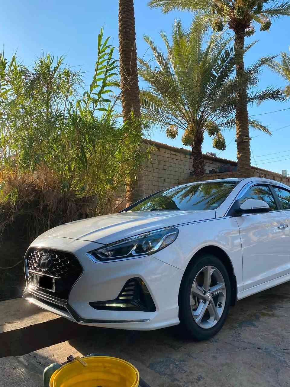 سوناتا SONATA) 2023) وارد كوري 🇰🇷
(غاز السيارة )

( السيارة كفاله ما عدا صبغ نصف جاملغ خلفي)

———————————————

🔰المواصفات(اعلى فئة بالغاز)

📍مكان السياره ديوانية

1-رادار أمامي 

2-نقط عمياء بالمري

3-حساسات خلفي

4-تدفئة كشن2🔥

5-تبريد كشن السايق❄️

6-تدفئة ستيرن🔥

7-دخول ذكي(بصمة)

8-تبريد قطعتين

9-بكلايت لد بلاد

10-اوتو هولد 

11-هاند بريك كهرباء

12-كامره خلفيه شغاله اثناء القياده حسب الرغبه

13-كشن كهرباء

14-تحديد مسار

15-شاشه كبيره

16-تحكم التبريد (شاشه)

17-كروس مثبت سرعه

18- مري شفط +اشاره بالمري 

19-دمام خلفلي(مضخم)

20-مراية الوسطية ناطقة

(وبعد بيه هواي مواصفات ) 

السعر:185بيه مجال

———————————————

تخم تاير جديد صار 3اشهر من شادة

☎️***********
