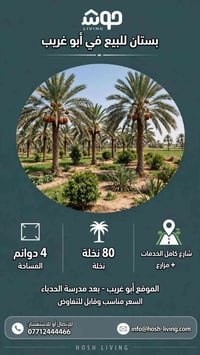 أبو غريب • ٤ دونم • ٨٠ نخلة