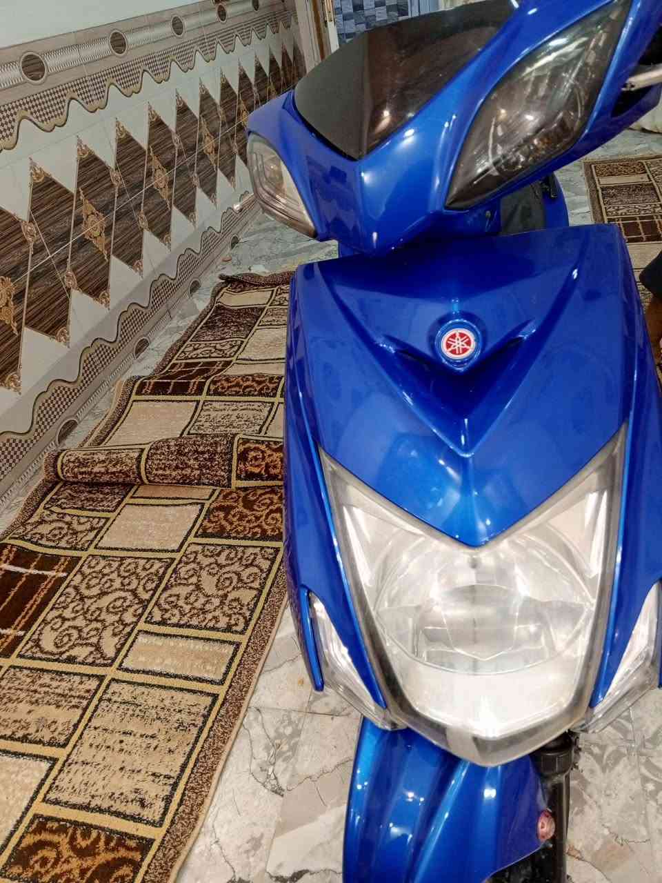 سكنس لند • للبيع • وعود كاذبة